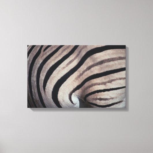 Zebraafdruk Canvas Afdruk (Voorkant)