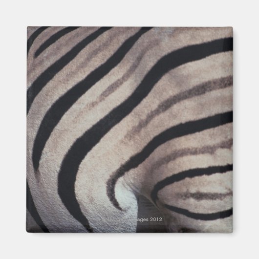 Zebraafdruk Magneet (Voorkant)