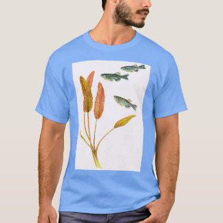 Zebrafish Brachydanio rerio T-shirt
