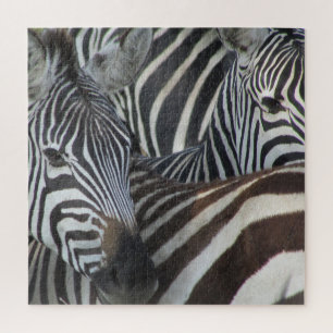 zebralijnen legpuzzel