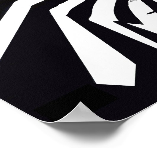 Zebraman poster (Hoek)