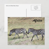 zebrapad briefkaart (Voorkant / Achterkant)