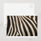 Zebrapatroon Briefkaart (Voorkant / Achterkant)