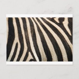 Zebrapatroon Briefkaart