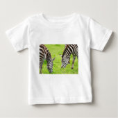 Zebras (Voorkant)