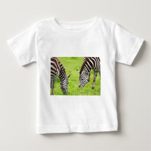 Zebras (Voorkant)