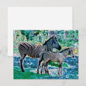 zebras 01 briefkaart (Voorkant / Achterkant)