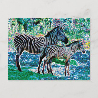 zebras 01 briefkaart