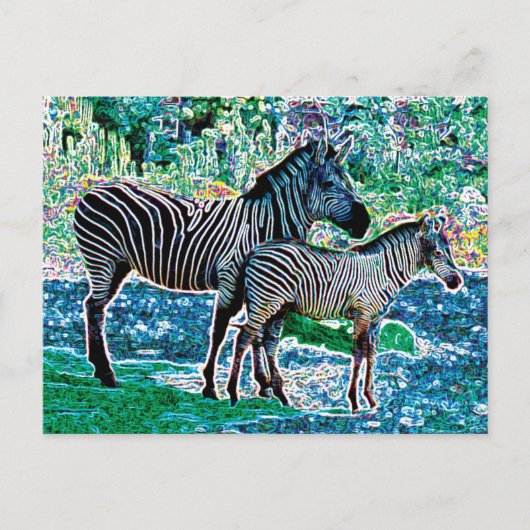 zebras 01 briefkaart (Voorkant)