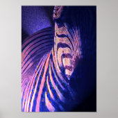 zebras 09 poster (Voorkant)