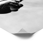 Zebras Animals Wildlife Black en White Poster (Hoek)
