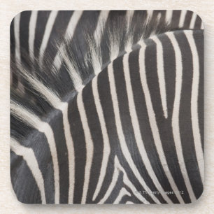 Zebras Bier Onderzetter