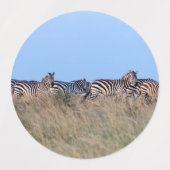 Zebras bij schemering labels (Design 1)