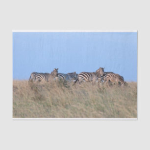 Zebras bij schemering tissuepapier