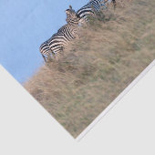 Zebras bij schemering tissuepapier (Detail)