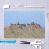 Zebras bij schemering tissuepapier (Craft)