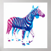 Zebras - blauw en Paars Poster (Voorkant)