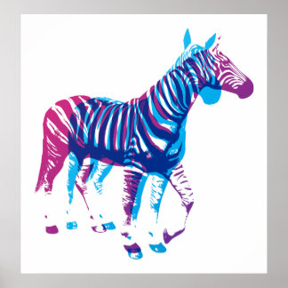 Zebras - blauw en Paars Poster