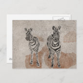 Zebras Briefkaart (Voorkant / Achterkant)