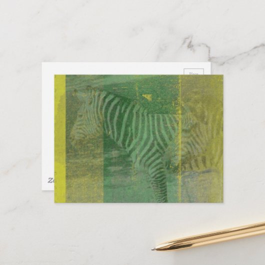 Zebra's Briefkaart (Voorkant / Achterkant in situ)