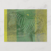 Zebra's Briefkaart (Voorkant)