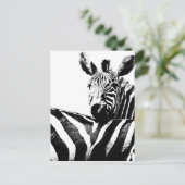 Zebras Briefkaart (Staand voorkant)