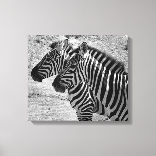 Zebras Canvas Afdruk (Voorkant)