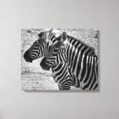 Zebras Canvas Afdruk (Voorkant)