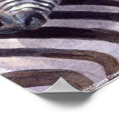 Zebras door Donna Crawshaw Poster (Hoek)