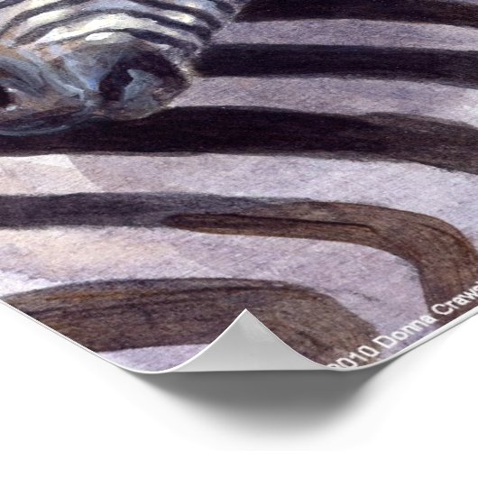 Zebras door Donna Crawshaw Poster (Hoek)