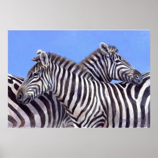 Zebras door Donna Crawshaw Poster (Voorkant)