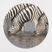 Zebras drink labels (Design 1)
