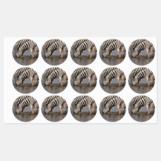 Zebras drink labels (Vel)