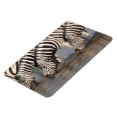 Zebras drink magneet (Linkerzijde)