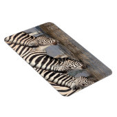 Zebras drink magneet (Rechterzijde)