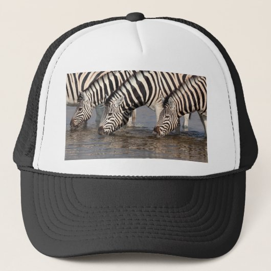 Zebras drink trucker pet (Voorkant)