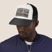 Zebras drink trucker pet (In situ)