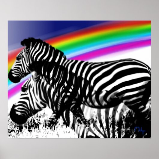Zebra's droom van regenbooghuid poster (Voorkant)