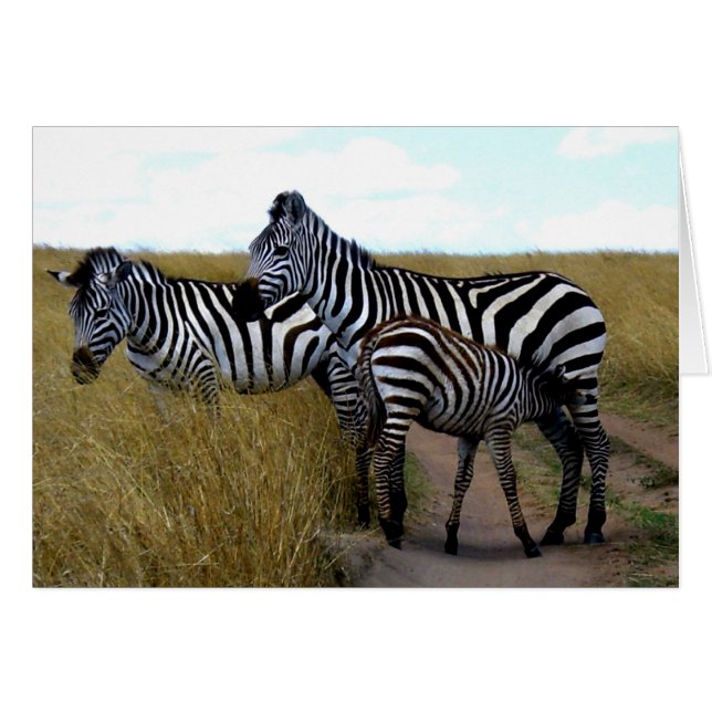 ZEBRAS EN BABY-ZEBRA (Voorkant Horizontaal)