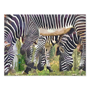 ZEBRAS FOTO AFDRUK