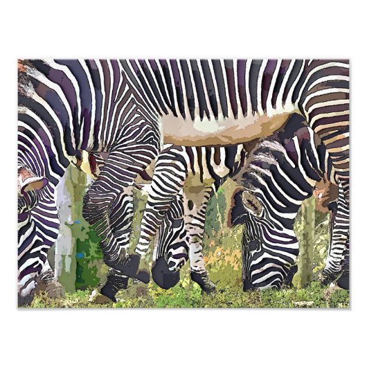 ZEBRAS FOTO AFDRUK (Voorkant)