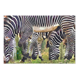 ZEBRAS FOTO AFDRUK