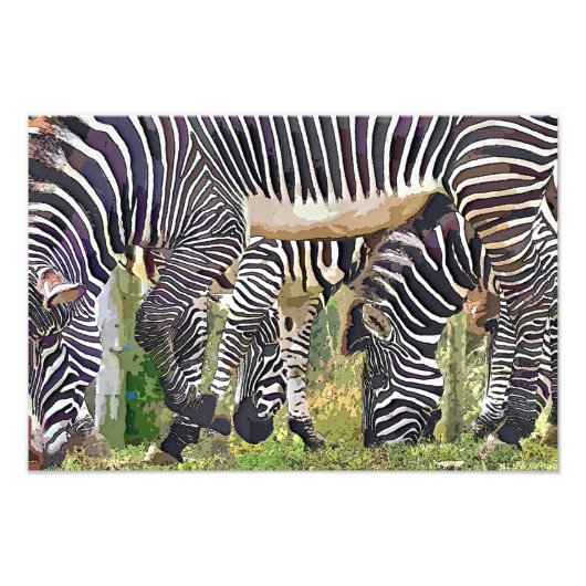 ZEBRAS FOTO AFDRUK (Voorkant)