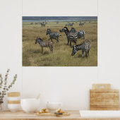 Zebras grazing poster (Keuken)