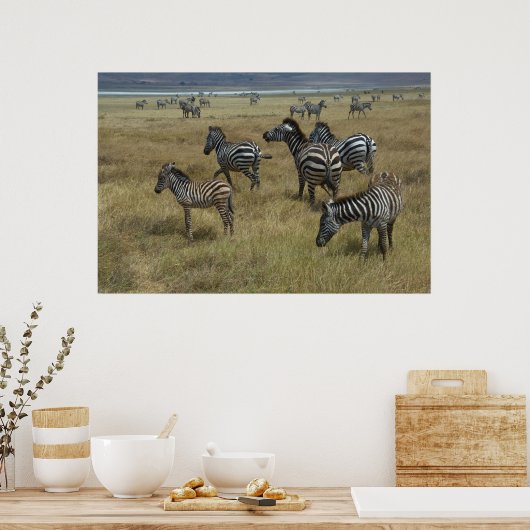 Zebras grazing poster (Keuken)