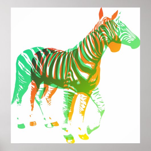 Zebras - Groen en Oranje Poster (Voorkant)