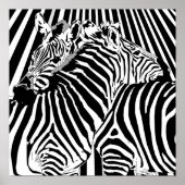Zebras Hugging Poster voor de handel in binaire op (Voorkant)
