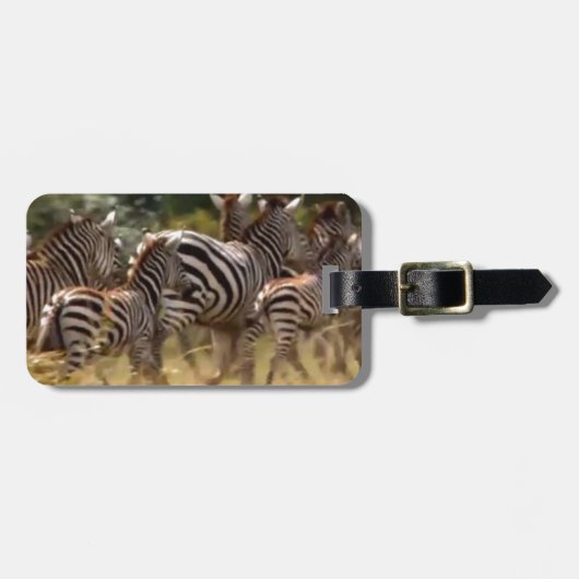 Zebra's in beweging: een reis van duizend mijl bagagelabel (Voorkant horizontaal)