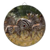 Zebra's in beweging: een reis van duizend mijl dartbord (Voorkant)