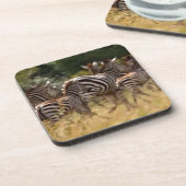 Zebra's in beweging: een reis van duizend mijl drankjes onderzetter (Linkerzijde)